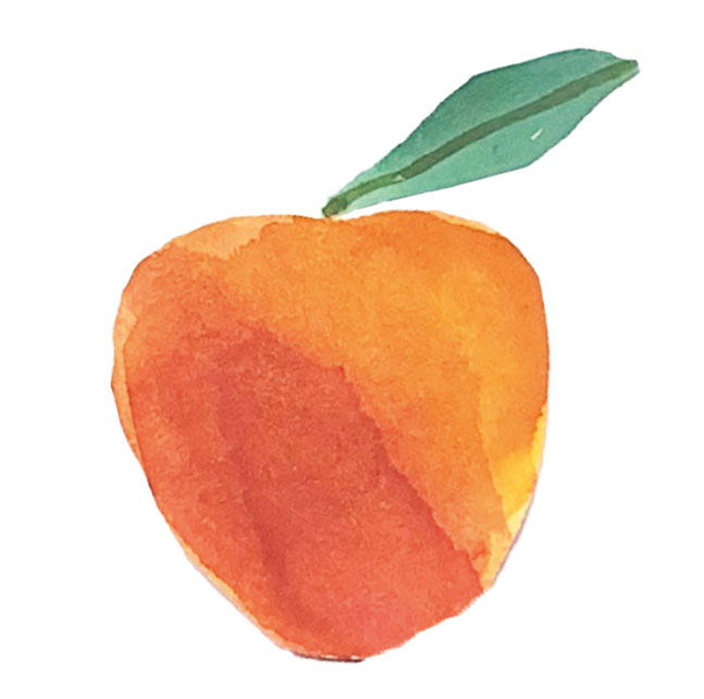 illustration pêche dessinée a la main avec aquarelle peinture crayon Emma Brunel
