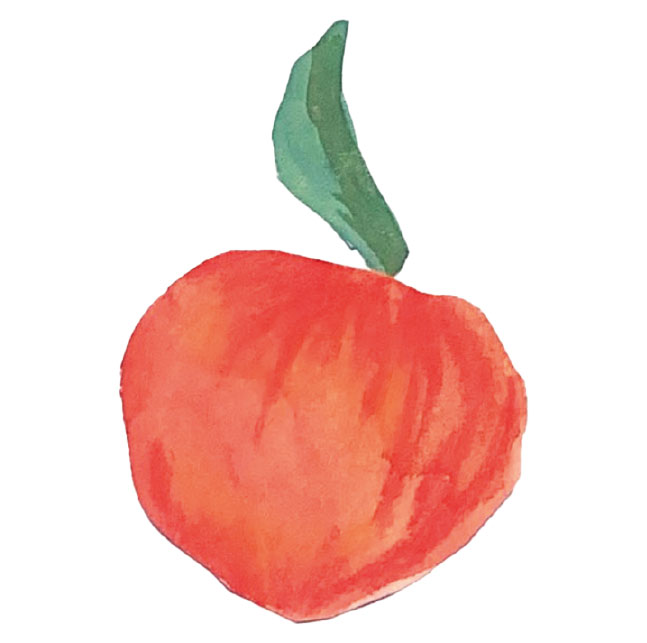 illustration pomme dessinée a la main avec aquarelle peinture crayon Emma Brunel