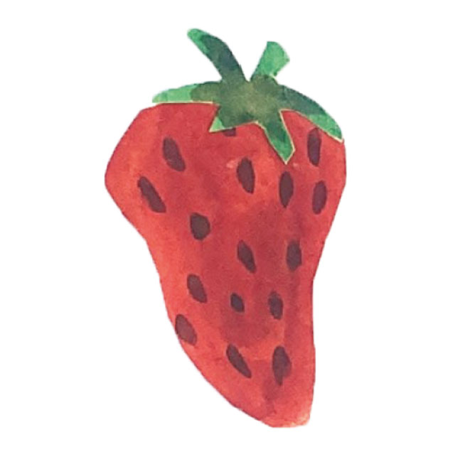 illustration fraise dessinée a la main avec aquarelle peinture crayon Emma Brunel