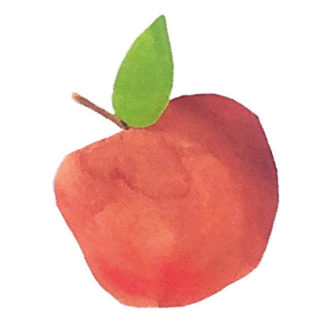 illustration pomme dessinée a la main avec aquarelle peinture crayonEmma Brunel